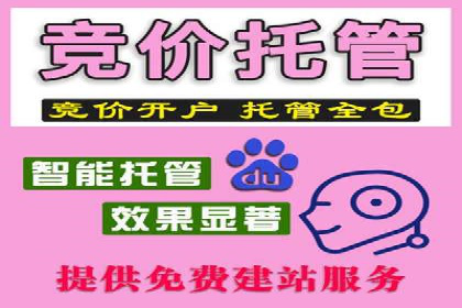 竞价广告策略案例分析